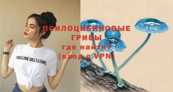 СК Инта
