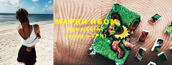 ГАЛЛЮЦИНОГЕННЫЕ ГРИБЫ Иннополис