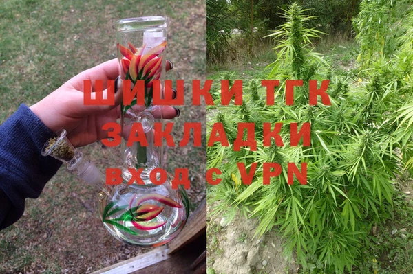 ГАЛЛЮЦИНОГЕННЫЕ ГРИБЫ Иннополис