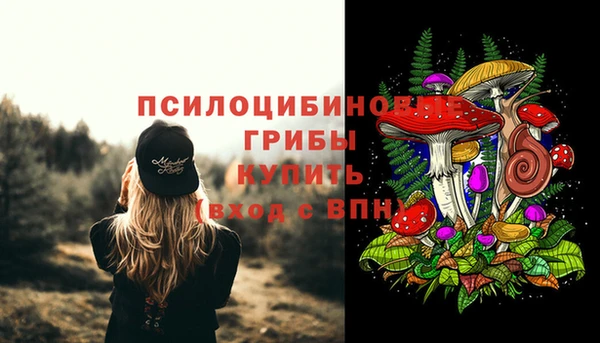 СК Инта