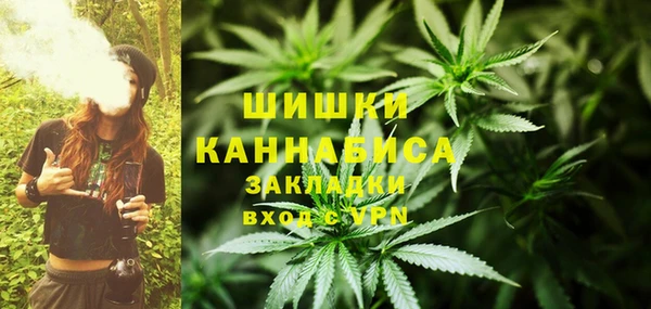 ГАЛЛЮЦИНОГЕННЫЕ ГРИБЫ Иннополис