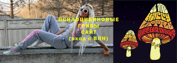 СК Инта