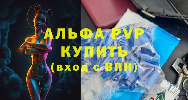 ГАЛЛЮЦИНОГЕННЫЕ ГРИБЫ Иннополис