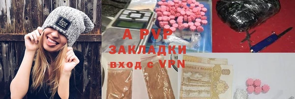 ГАЛЛЮЦИНОГЕННЫЕ ГРИБЫ Иннополис