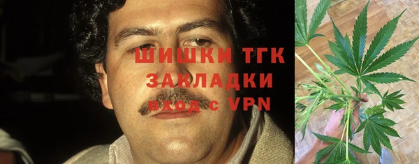 ГАЛЛЮЦИНОГЕННЫЕ ГРИБЫ Иннополис