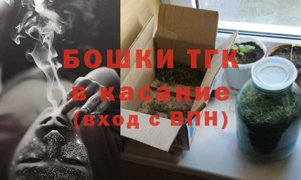 дживик Инсар