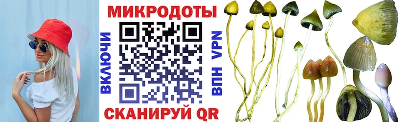 Купить  Асбест  Псилоцибиновые грибы Psilocybine cubensis 